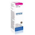 T6643 Magenta ink bottle 70ml