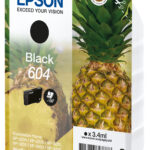 Singlepack Black 604 Ink