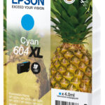 Singlepack Cyan 604XL Ink