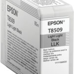 Singlepack Light Light Black T850900 UltraChrome HD ink 80ml SC-P800