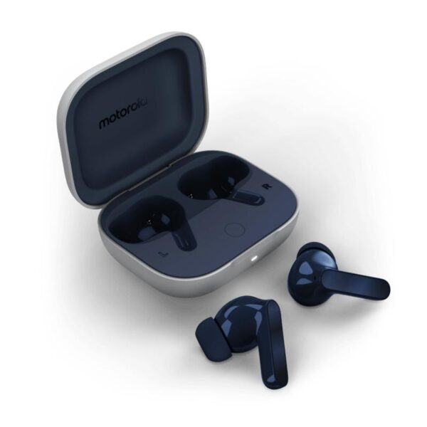 Moto Buds Blueberry – M. AGUIAR LDA