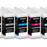 Singlepack Gray T46S7 UltraChrome Pro 10 ink 25ml