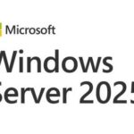 Windows Server Standard 2025 64Bit Portuguese 1pk DSP OEI DVD 16 Core