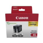 PGI-2500XL BK TWIN - Color Ink Value Pack (2 ink tanks)